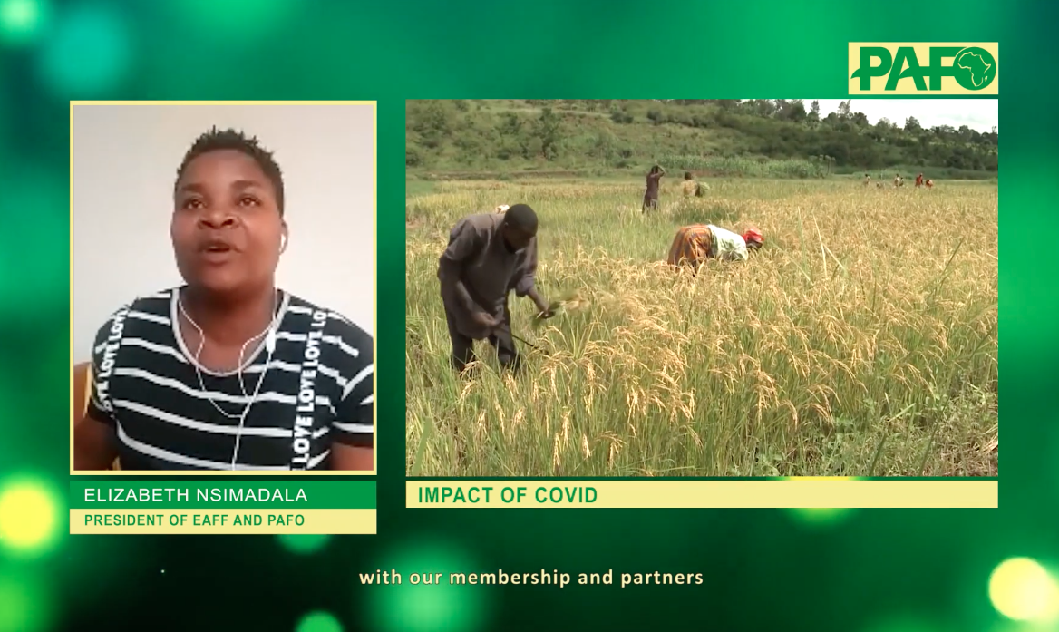 Les leaders paysans africains abordent le covid 19