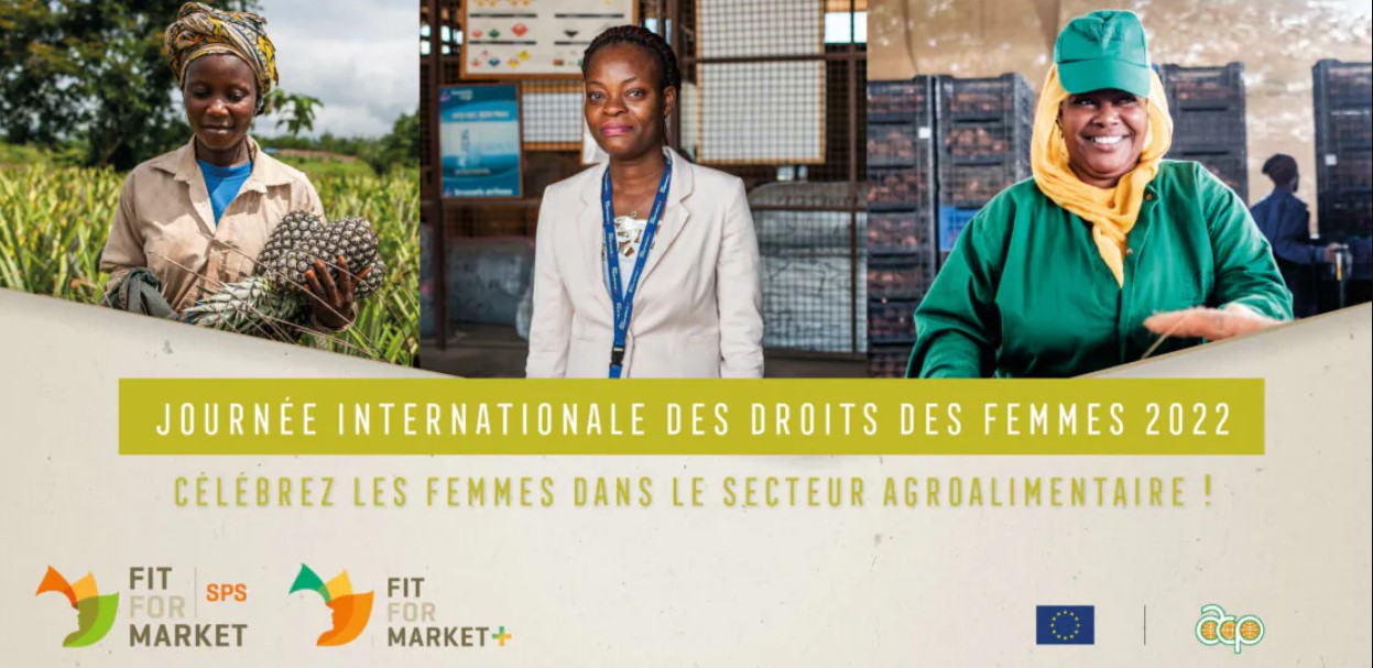 Journée Internationale des droits des femmes 2022 Femmes FR