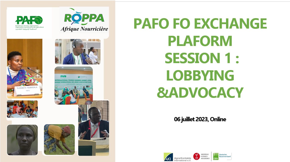 Panafrican FOs exchanges platform Sessions on "Lobbying & Advocacy" ENG Vignette