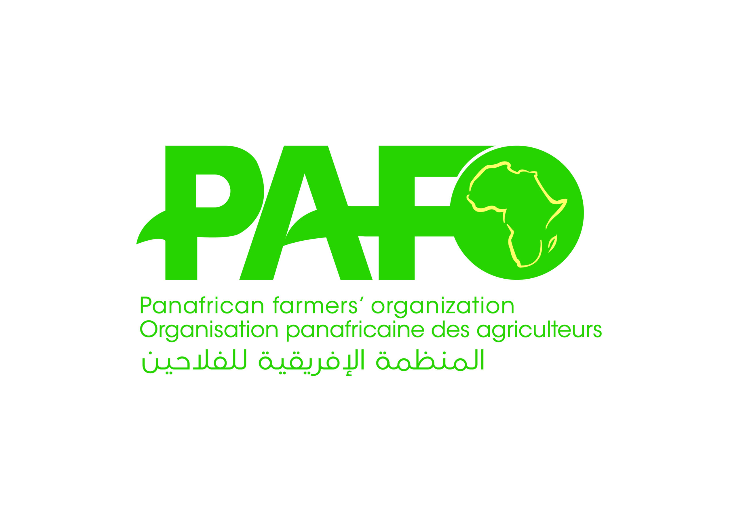 Logo PAFO Scaled