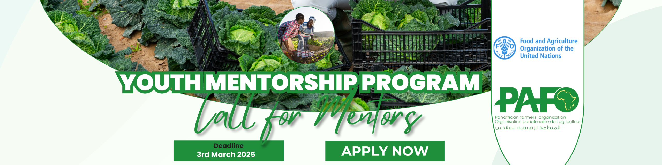 Mentorship Program Flyer New LinkedIn Banner 1 1 Scaled