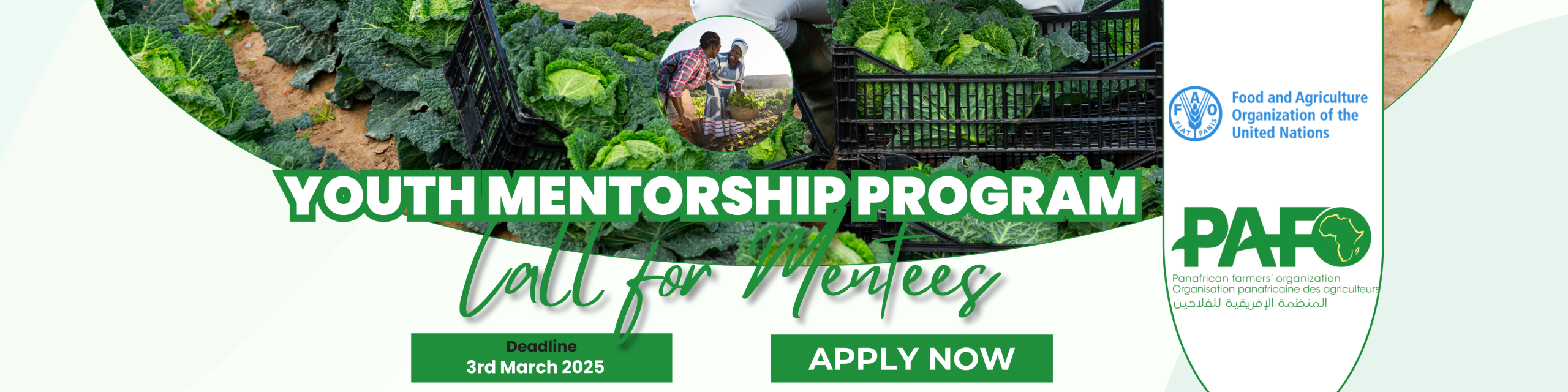 Mentorship Program Flyer New LinkedIn Banner 2 Scaled